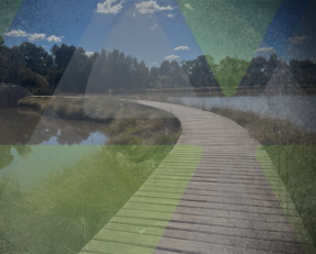 Day-Walk