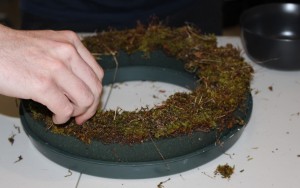 IMG 3030 (2)