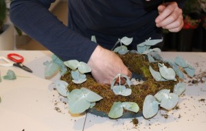 IMG 3069 (2)
