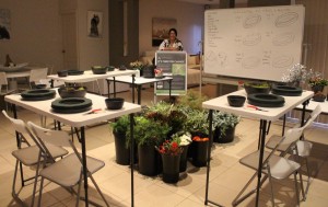 IMG 3182 (2)