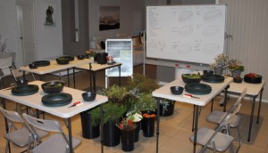 IMG 3201 (2)