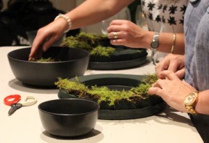 IMG 3260 (2)