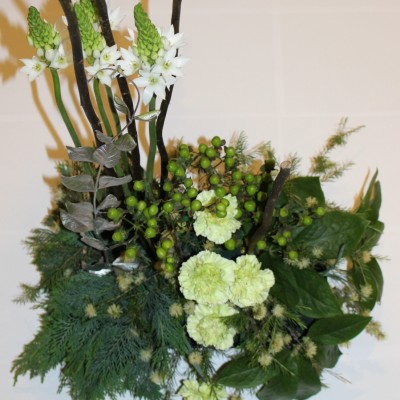 IMG 2920 (2)